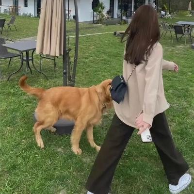 风云之十里洋场