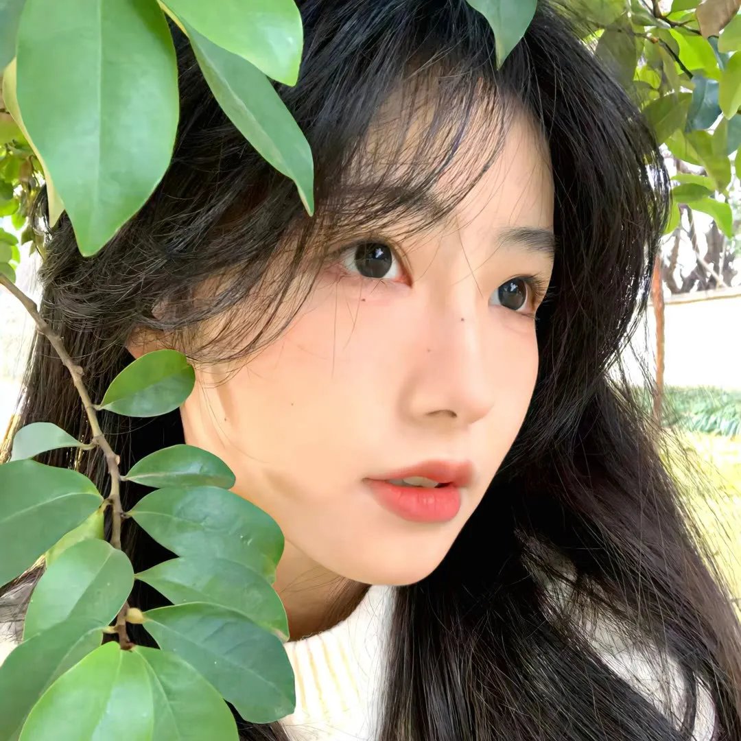 血笼于女