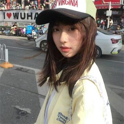 狐及其友